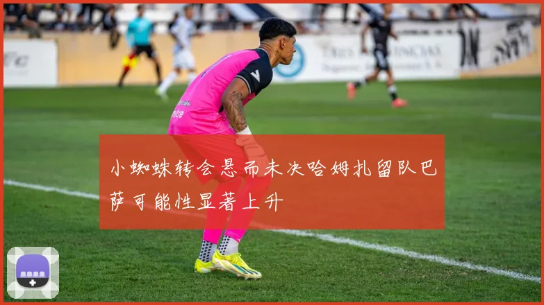 小蜘蛛转会悬而未决哈姆扎留队巴萨可能性显著上升